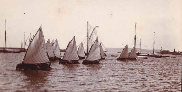 This fleet of ten singled-handed Water Wags are racing in Kingstown Harbour in the 1890s.
