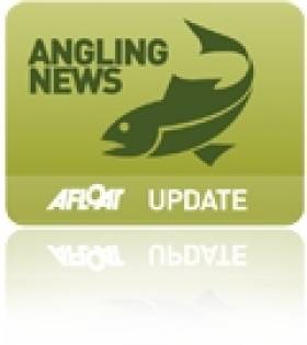 Irish Junior Angler &#039;Confident&#039; Ahead of Home Counties International