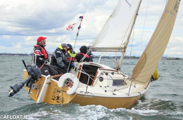 The Sonata Asterix from the DMYC leads IRC 4