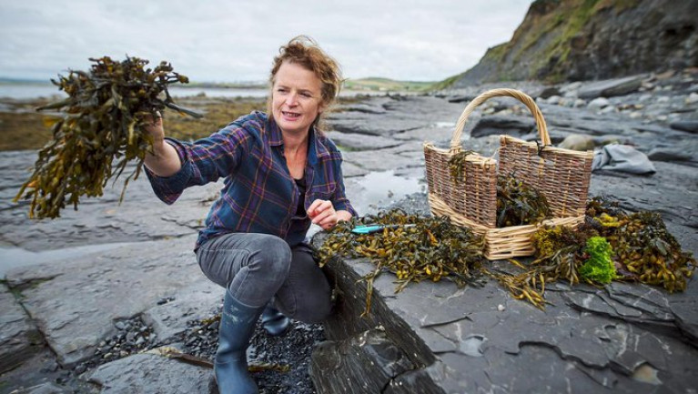 Reader Travel Awards 2022: The Burren Ecotourism Network wins our judges’ ‘Green Light’ award for sustainability. Above: Oonagh O&#039;Dwyer of Wild Kitchen, a member of the Burren Ecotourism Network, foraging for sea veg in Lahinch.