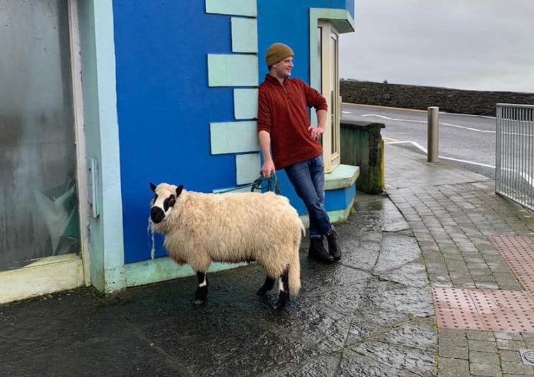 Surfing enthusiast Johnny Casey with the rescued sheep after her cliff slip drama