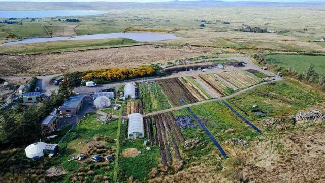 The current organic vegetable farm near Lahinch feeds 50 local families for most of the year