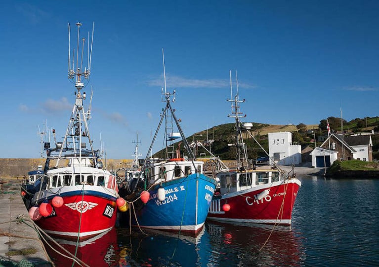 File image of fishing trawlers at Helvick Head in Co Waterford