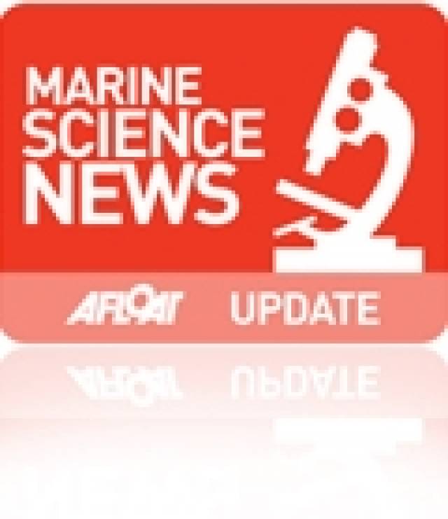 Explorers Marine Education Programme Visits Cork's Lifetime Lab