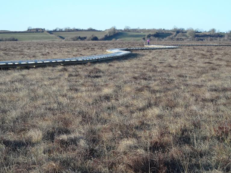 Ireland&#039;s Ramsar sites, such as Clara Bog above, are important for their variety of wetlands habitats, for wintering and breeding birds and for plants, mammals and invertebrates