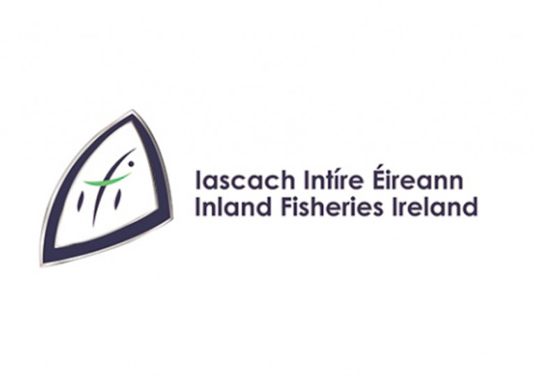 Inland Fisheries Ireland Appoints New Chief Executive