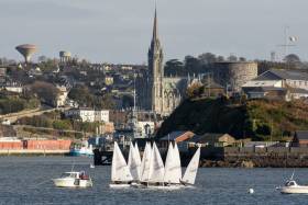The Monkstown Laser League fleet jostle for position at the start of one of yesterday&#039;s three races in Cork Harbour