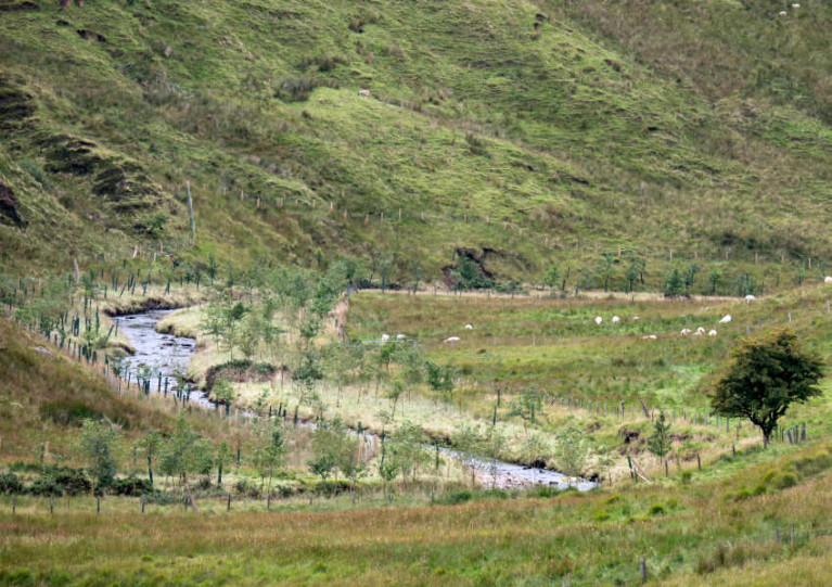 Enhancement works on the River Roe which runs from the Sperrins to Lough Foyle