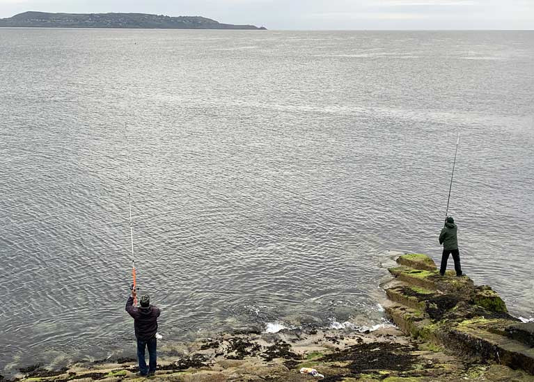 An online survey seeks to collect information on the behaviours, attitudes and catch preferences of all Irish sea anglers
