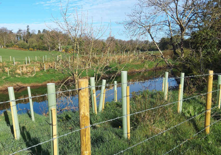 Native tree planting to support fishery habitats in Northern Ireland